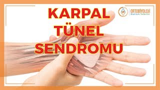 EL HASTALIKLARI VE KARPAL TÜNEL SENDROMU