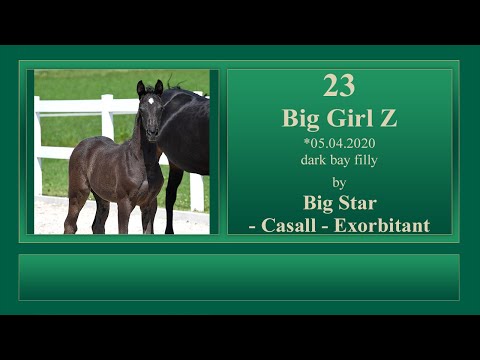 23 Big Girl Z by Big Star - Casall - Exorbitant xx