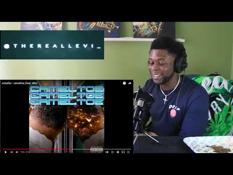 TRL Reaction / Schafter -  cameltoe Ft. Vkie (PolishRap)