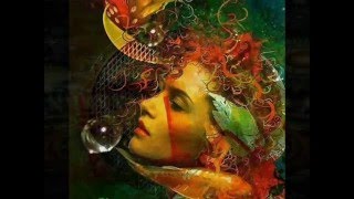 Ozric tentacles - Sunhair ( floating seeds remix)