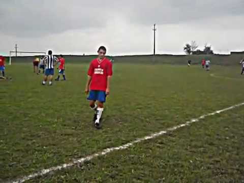 stiinta brosteni salcia partea 7