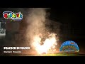 Peacock Fountain Standard Fireworks