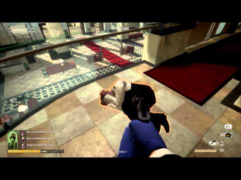 Payday : The Heist (dunkview)