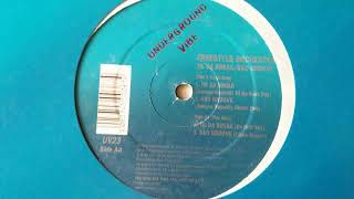 FREESTYLE ORCHESTRA   - SSO GROOVE (CLEAN GROOVE)