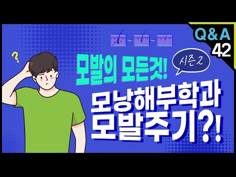 [모빈치TV] 모발의 모든것! 모낭해부학과 모발주기?!