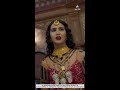 Shaitani Rasmein | Kya Raja sahab bhi denge Nikki ka iss kaam mein saath?