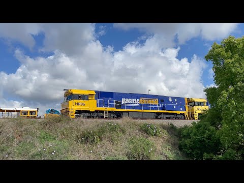 Pacific National NR96, NR2 & LDP005 with 3BA6 at Telarah - 11/10/2023