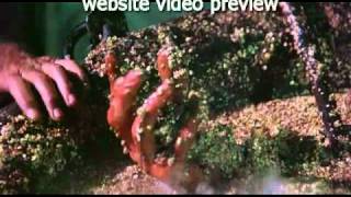 book of love - witchcraft (HQ-VIDEO-REMIX) (e-nertia&#39;s witch edit)