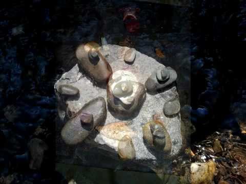 Shamanic Journey ૐ ONE