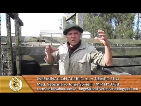 IATF I (parte uno) 24/05/17