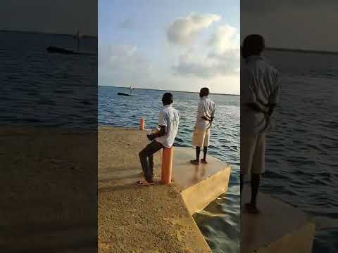 💓 touching feelings during ☀️ raise and sea level going down on island 🏝️ at kenya