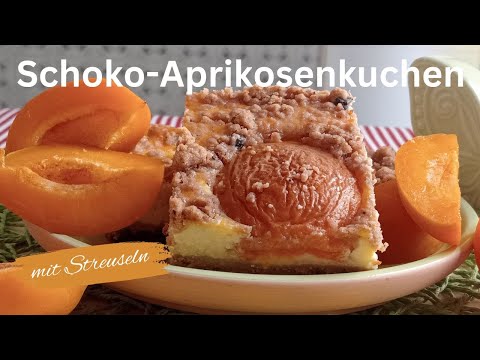 Schoko Aprikosenkuchen mit Streuseln