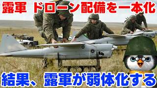 【ペンギン閣下】プーチンの支持率爆下がり中【ウクライナ情勢】