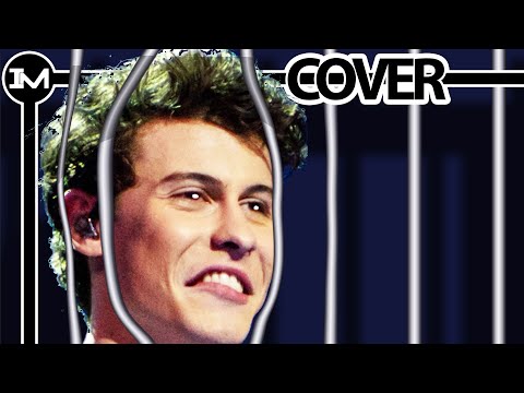 Shawn Mendes - There's Nothing Holdin' Me Back orchestra Cover by Igor Maliska