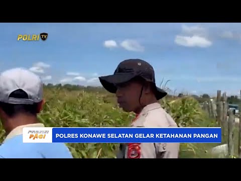 POLSEK WATUMEETO GELAR KETAHANAN PANGAN MELALUI PENANAMAN JAGUNG