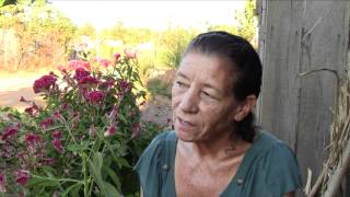 O Outro Lado do Dina