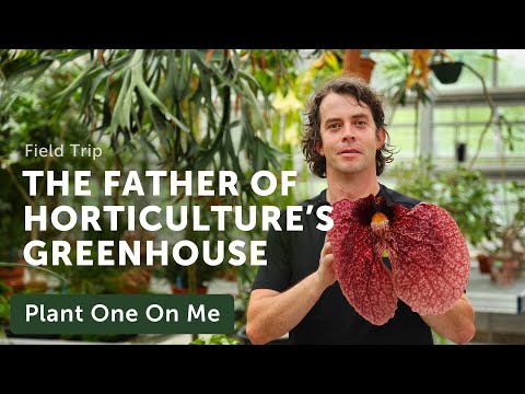 Tour the Liberty Hyde Bailey's, FATHER OF HORTICULTURE'S Conservatory — Ep. 285