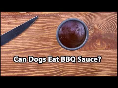 Can Dogs Eat BBQ Sauce