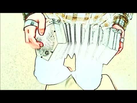 "The Leitrim Fancy" Jig on Hayden Duet Concertina