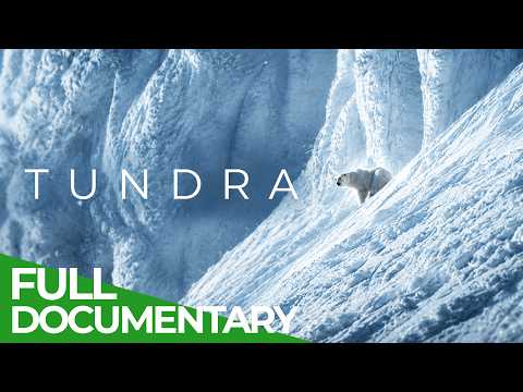 Destination Wild: Tundra Desert Of Ice