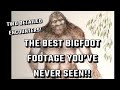 Bigfoot Video Compilation With Added Eyewitness Commentary Bigfoot Yeti Sasquatch Bigfootisreal
