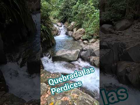 Quebrada las perdices GUAYABETAL Cundinamarca #colombia #nature #turismo #reels #shorts #travel