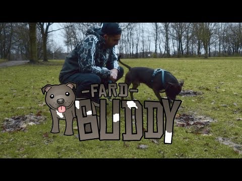 Video thumbnail for Buddy