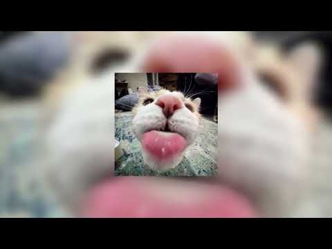 f**king young/perfect - Tyler the creator sped up and reverb