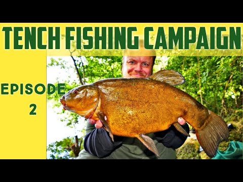 Big Tench Fishing - Pit Fishing During Spring (Video 226)