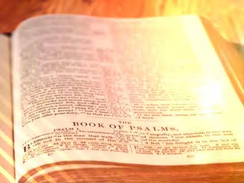 The Holy Bible - Psalm Chapter 41 ESV