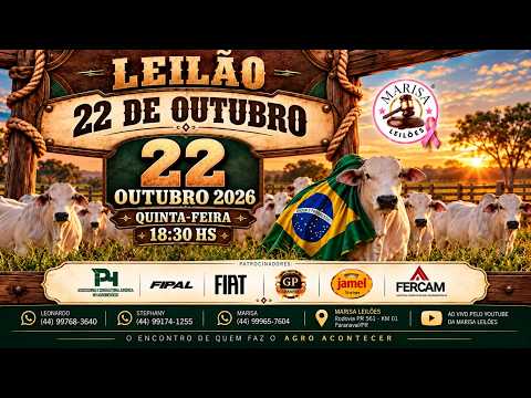 Marisa Leilões - Leilão ao Vivo - 22 de OUTUBRO 2026  -  PARANAVAÍ - PR