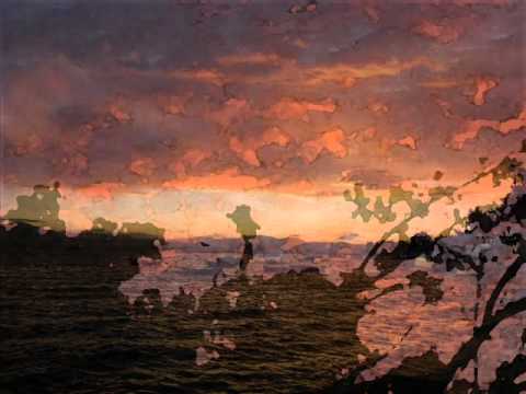 Palale - Guy Kark & Between Times