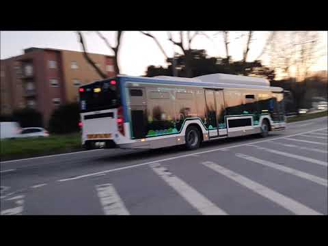 STCP 3508 (Linha 704)