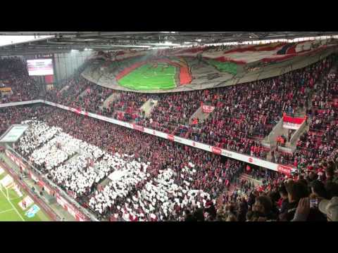 "20 Jahre Wilde Horde" - Choreo vor Effzeh-Spiel #KOEBVB