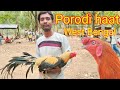 Porodi Murga Market Aseel Murga Bajar Parrot Murga Mantuvlog