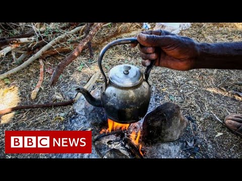 エチオピアのエリトリア難民「食料不足」 - BBCニュース (Eritrea refugees in Ethiopia ‘run out of food’ - BBC News)