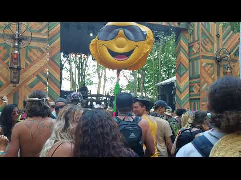 Eprom live at Electric Forest with Zeke Beats