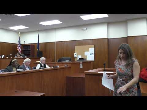 Darlington City Council 1/8/19