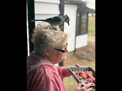 Don and Diane Shipley LIVE - April 28th. SORRY!!! Thumbnail