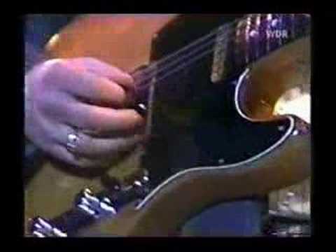 roy buchanan - wayfaring pilgrim