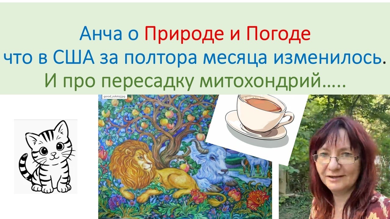 О природе и погоде, а также Перелив Митохондрий