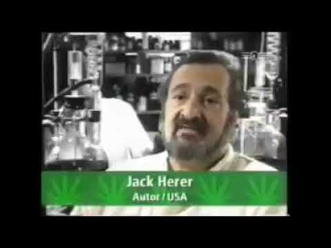 Hanf die Super Pflanze die alles kann, was sonst chemisch hergestellt werden muss!