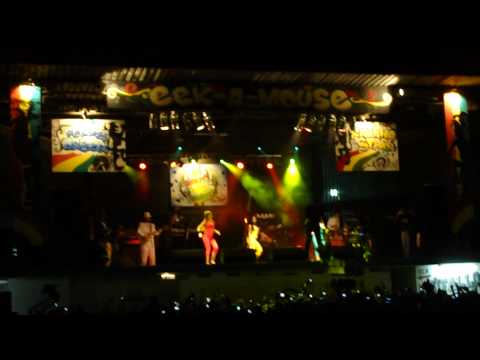 EEK-A-MOUSE EM TERESINA