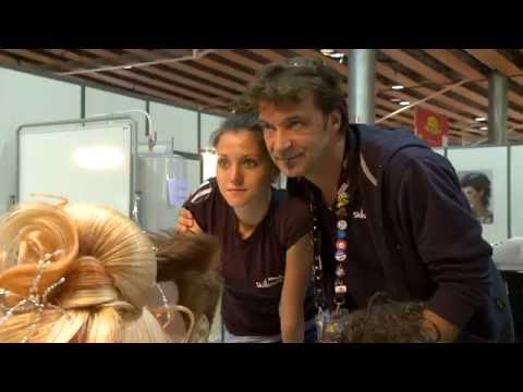 EuroSkills 2014 Lille, Team Hungary (short version)