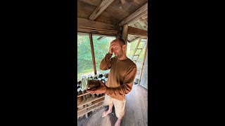 The Struggles of Foraging