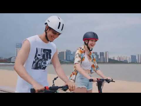 Electric scooter AERIUM HX850 black