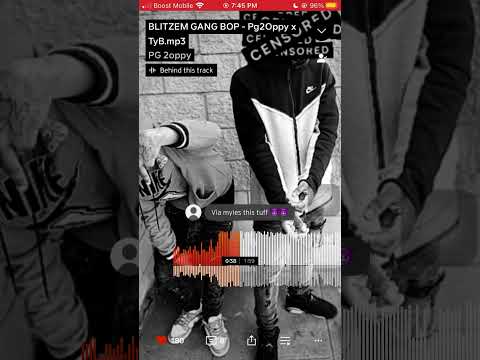 BLITZEM GANG BOP - Pg2oppy X Tybando