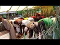African Islamic Viral Video Tilawat Namaz Africa Allhamdulillah Viralvideo