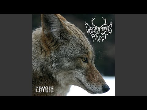 Video thumbnail for Hyena