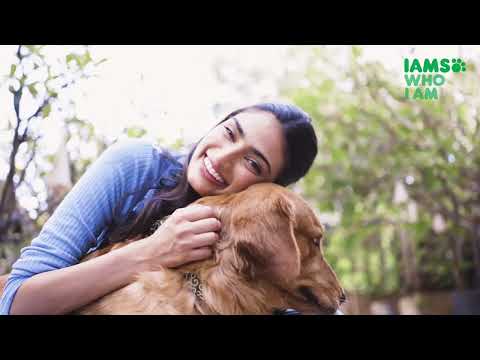 iAMS X YELLAWE | Athiya Shetty | Pet Food